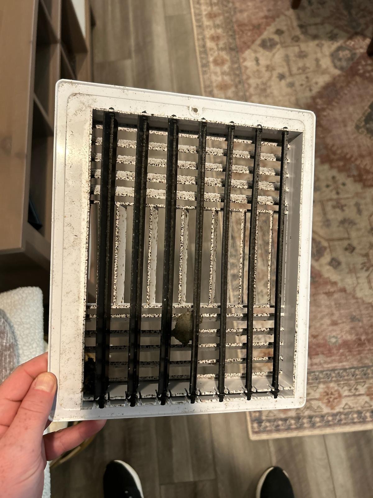 AC Duct Cleaning Buffalo Bayou Area